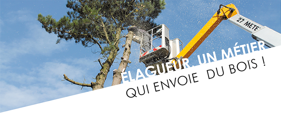 Nouveau service d'élagage chez Jardins de Vendée ! - Jardins de Vendée